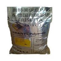 PA6 FRIANYL®  B63GV15 FRISETTA GERMANY