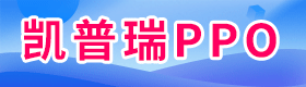 凯普瑞PPO 凯普瑞PPE