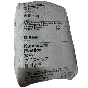 PA6 B3E2G6 BK8831 BASF SHANGHAI