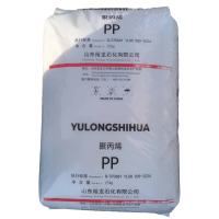 PP  T30S SHANDONG YULONG