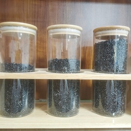 PP 230A-CNT Black 颗粒 黑色 静电消散