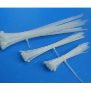 PA66  A101 Nanjing Delong