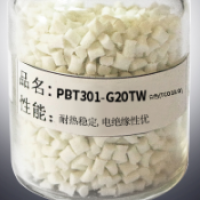 PBT  301-G20TW Dongguan Best