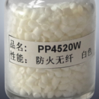 PP  4520W Dongguan Best