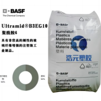 PA6  B3EG10 Dongguan Haoyuan