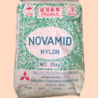 PA6  3021G3 Dongguan Haoyuan