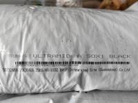 PA66 Ultramid® A 50X1BLACK BASF SHANGHAI